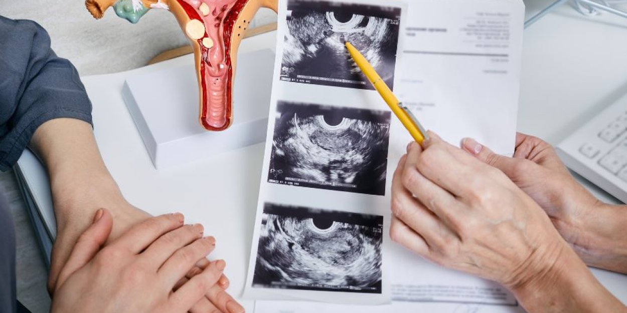 Clínica Comunic - Ginecologista em Itajaí Clínica Comunic - Ginecologista em Itajaí